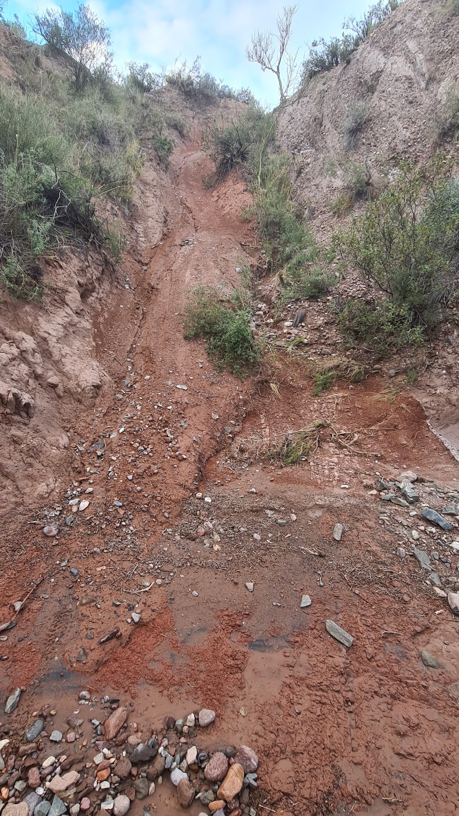 Canal de Parto